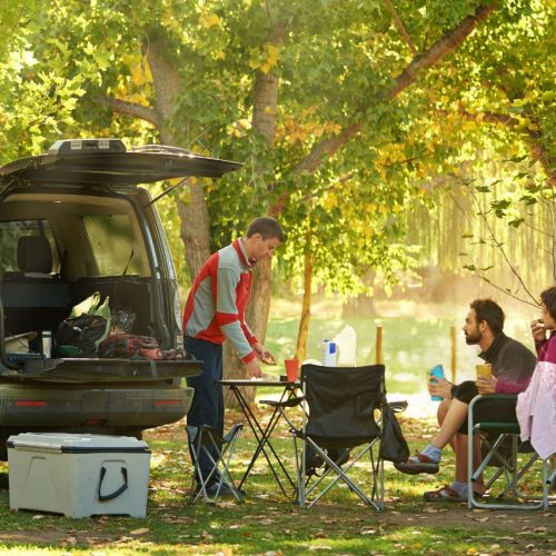 friends are picnicking